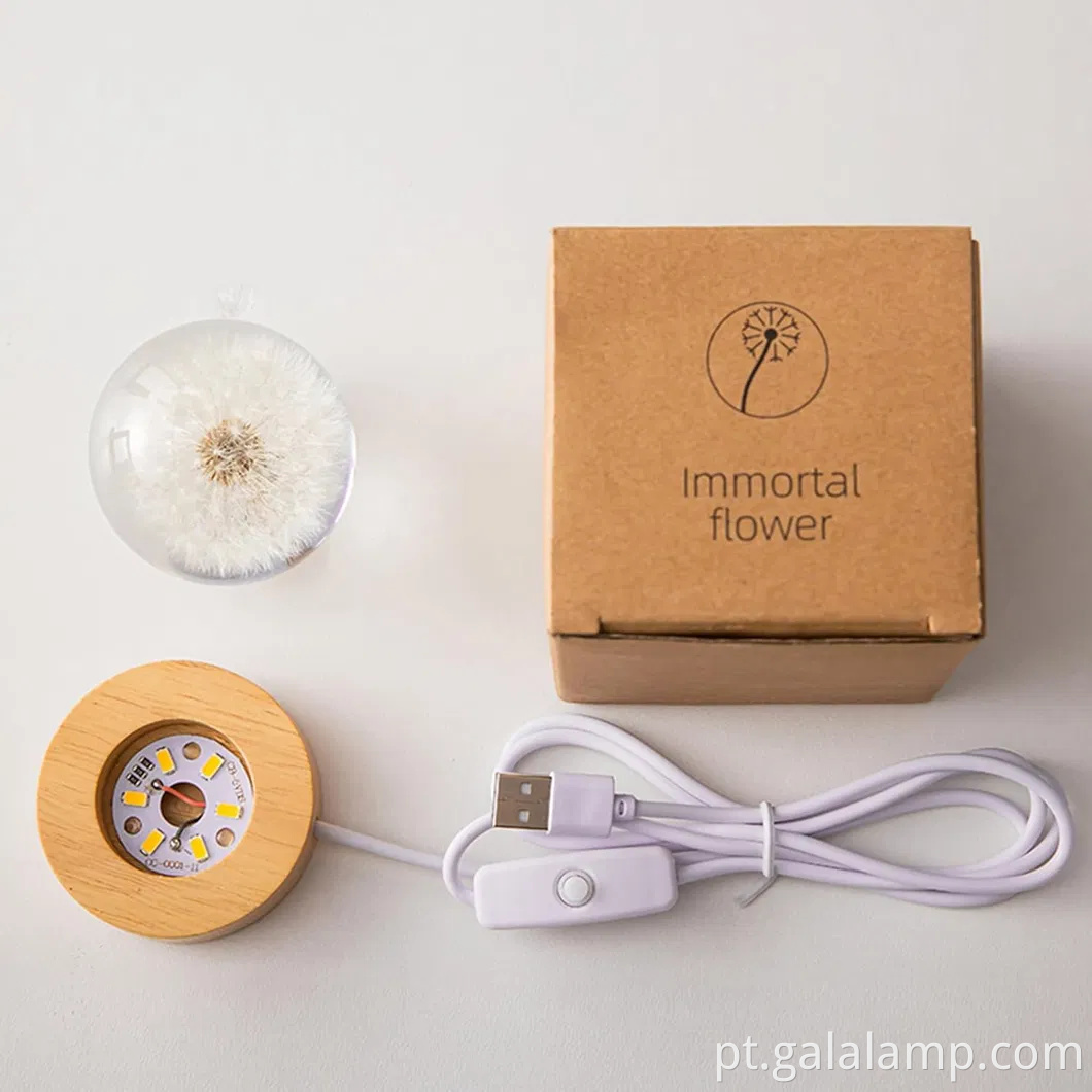 Luz noturna eterna da flor, o presente que nunca murcha